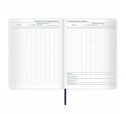 Дневник 1-11 класс 48 л., кожзам (гибкая), термотиснение, BRAUBERG 