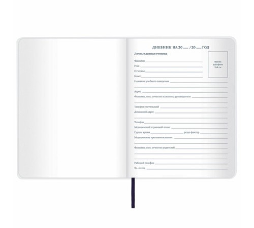 Дневник 1-11 класс 48 л., кожзам (гибкая), термотиснение, BRAUBERG 