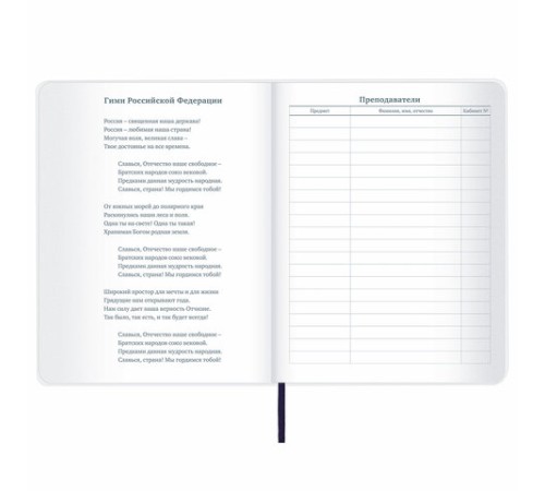 Дневник 1-11 класс 48 л., кожзам (гибкая), термотиснение, BRAUBERG 