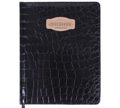 Дневник 1-11 класс 48 л., кожзам (твердая с поролоном), нашивка, BRAUBERG 