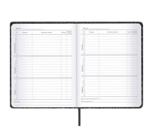 Дневник 1-11 класс 48 л., кожзам (твердая с поролоном), нашивка, BRAUBERG 