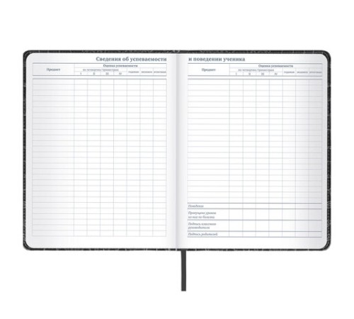 Дневник 1-11 класс 48 л., кожзам (твердая с поролоном), нашивка, BRAUBERG 