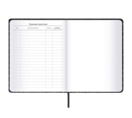 Дневник 1-11 класс 48 л., кожзам (твердая с поролоном), нашивка, BRAUBERG 