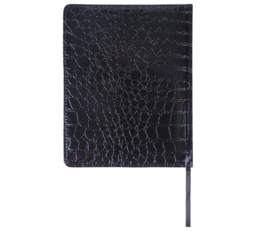 Дневник 1-11 класс 48 л., кожзам (твердая с поролоном), нашивка, BRAUBERG 