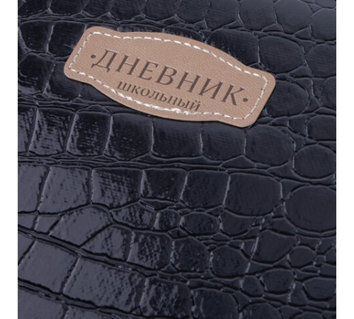 Дневник 1-11 класс 48 л., кожзам (твердая с поролоном), нашивка, BRAUBERG 