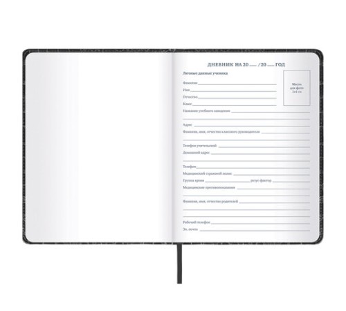 Дневник 1-11 класс 48 л., кожзам (твердая с поролоном), нашивка, BRAUBERG 