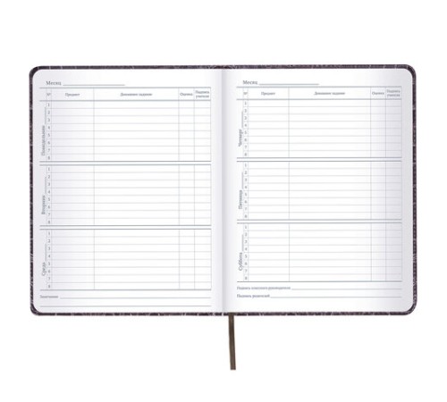 Дневник 1-11 класс 48 л., кожзам (твердая с поролоном), нашивка, BRAUBERG 