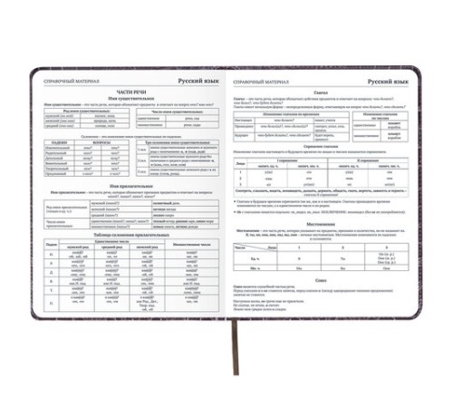 Дневник 1-11 класс 48 л., кожзам (твердая с поролоном), нашивка, BRAUBERG 