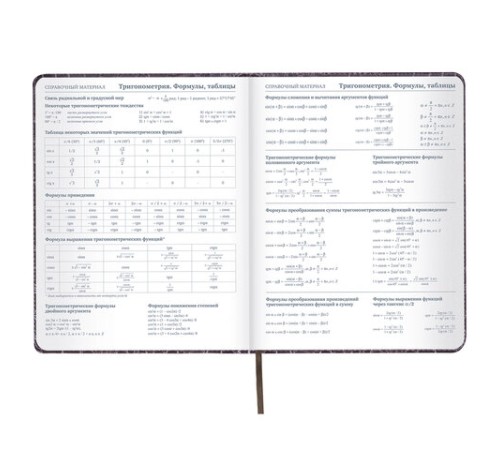 Дневник 1-11 класс 48 л., кожзам (твердая с поролоном), нашивка, BRAUBERG 