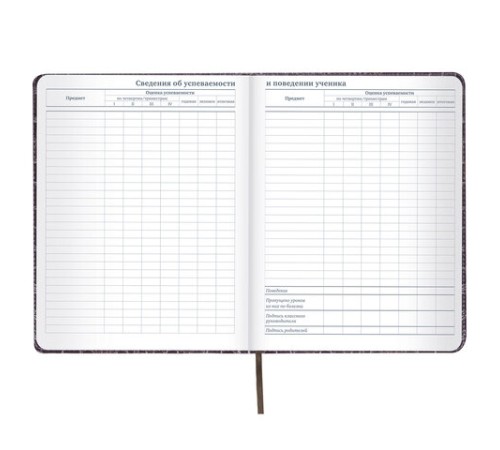 Дневник 1-11 класс 48 л., кожзам (твердая с поролоном), нашивка, BRAUBERG 