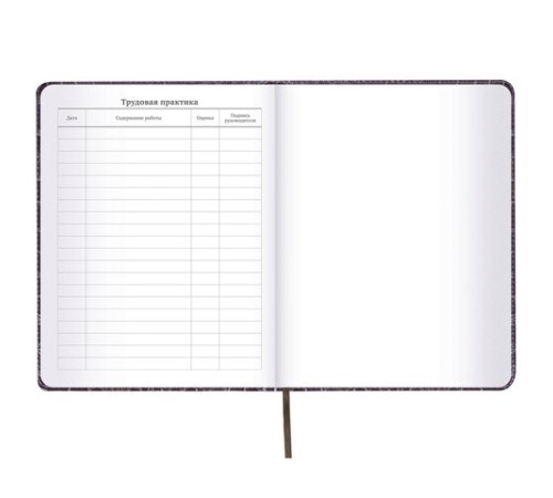 Дневник 1-11 класс 48 л., кожзам (твердая с поролоном), нашивка, BRAUBERG 