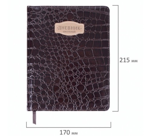 Дневник 1-11 класс 48 л., кожзам (твердая с поролоном), нашивка, BRAUBERG 