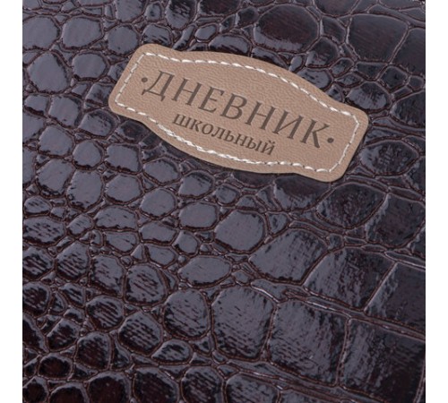 Дневник 1-11 класс 48 л., кожзам (твердая с поролоном), нашивка, BRAUBERG 