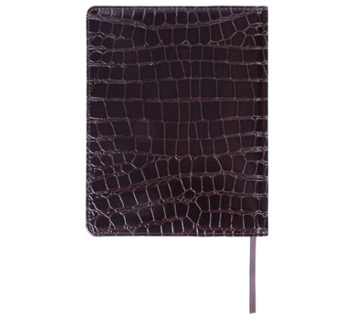 Дневник 1-11 класс 48 л., кожзам (твердая с поролоном), нашивка, BRAUBERG 