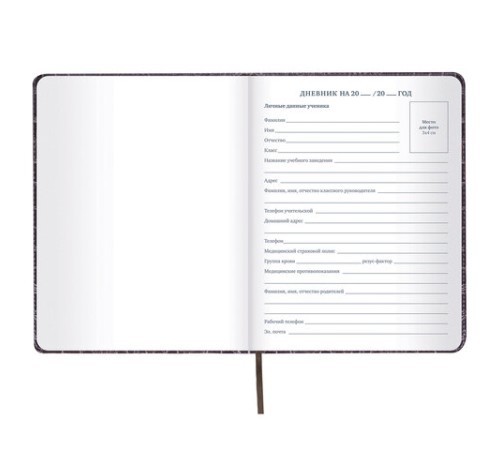 Дневник 1-11 класс 48 л., кожзам (твердая с поролоном), нашивка, BRAUBERG 