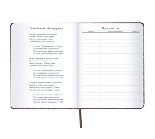 Дневник 1-11 класс 48 л., кожзам (твердая с поролоном), нашивка, BRAUBERG 
