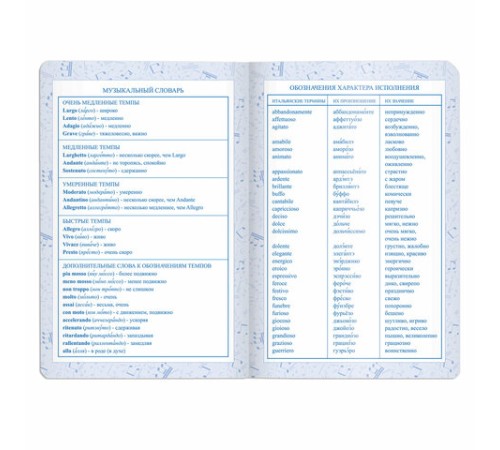 Дневник для музыкальной школы 140х210 мм, 48 л., обложка кожзам твердая, фольга, BRAUBERG, справочный материал, темно-синий, 105500