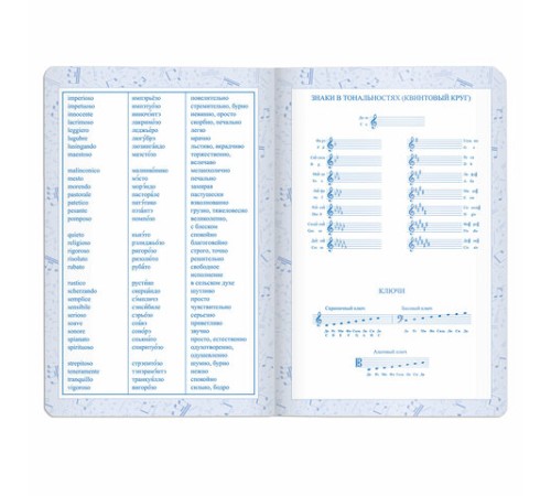 Дневник для музыкальной школы 140х210 мм, 48 л., обложка кожзам твердая, фольга, BRAUBERG, справочный материал, темно-синий, 105500