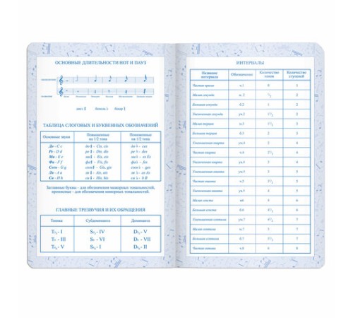 Дневник для музыкальной школы 140х210 мм, 48 л., обложка кожзам твердая, фольга, BRAUBERG, справочный материал, черный, 105502