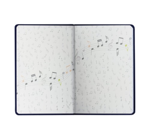 Дневник для музыкальной школы 140х210 мм, 48 л., обложка кожзам твердая, фольга, BRAUBERG, справочный материал, черный, 105502