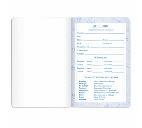 Дневник для музыкальной школы 140х210 мм, 48 л., обложка кожзам твердая, фольга, BRAUBERG, справочный материал, черный, 105502