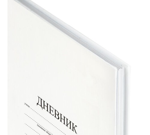 Дневник 1-11 класс 40 л., твердый, BRAUBERG, матовая ламинация, БЕЛЫЙ, 105540