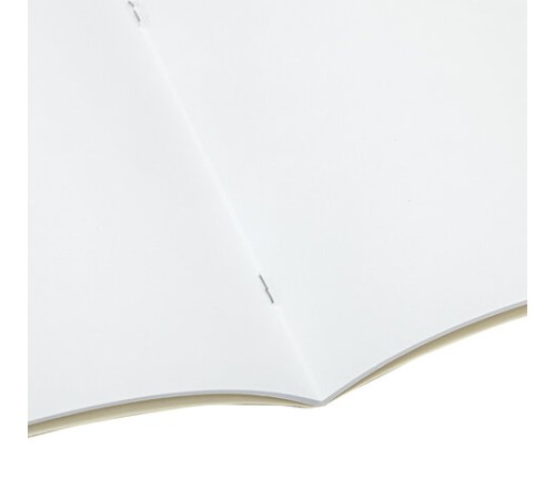 Альбом для рисования А4 24 л., скоба, обложка картон, BRAUBERG, 202х285 мм, 