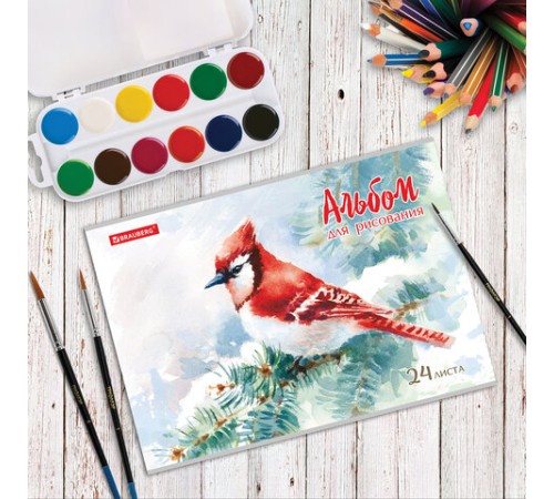 Альбом для рисования А4 24 л., скоба, обложка картон, BRAUBERG, 202х285 мм, 