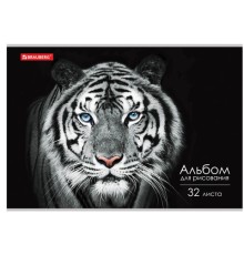 Альбом для рисования А4, 32 л., скоба, обложка картон, BRAUBERG, 202х285 мм, 