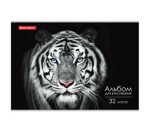 Альбом для рисования А4, 32 л., скоба, обложка картон, BRAUBERG, 202х285 мм, 