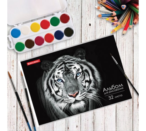 Альбом для рисования А4, 32 л., скоба, обложка картон, BRAUBERG, 202х285 мм, 