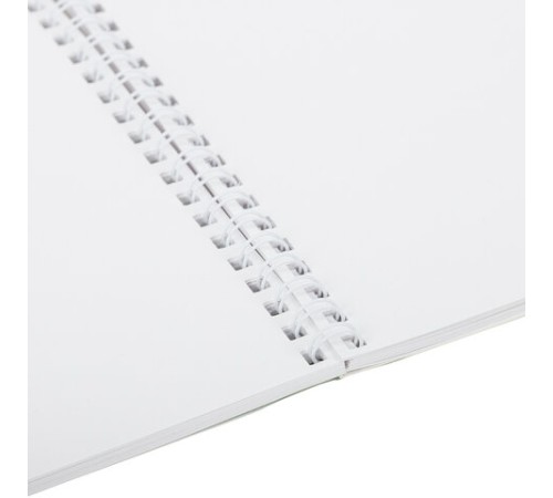 Альбом для рисования А4 32 л., гребень, обложка картон, BRAUBERG, 205х290 мм, 