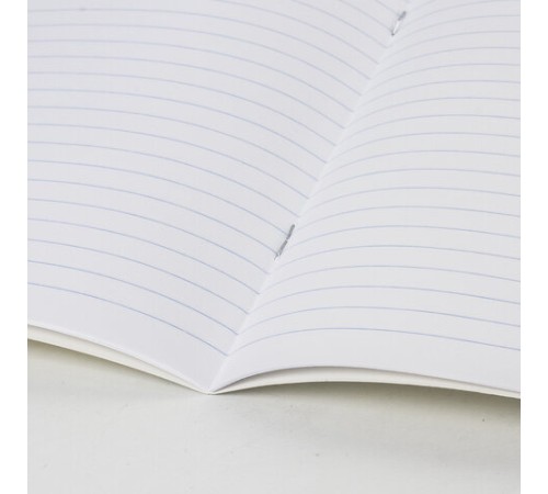 Тетрадь 12 л. ЮНЛАНДИЯ КЛАССИЧЕСКАЯ, линия, обложка картон, ЗЕЛЕНАЯ, 105644