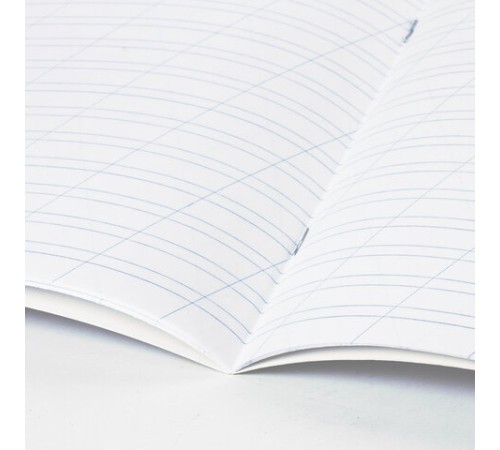 Тетрадь 12 л. ЮНЛАНДИЯ КЛАССИЧЕСКАЯ, косая линия, обложка картон, АССОРТИ 5 видов.105649