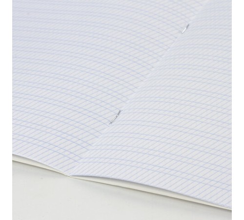 Тетрадь 12 л. ЮНЛАНДИЯ КЛАССИЧЕСКАЯ, частая косая линия, обложка картон, АССОРТИ 5 видов, 105650