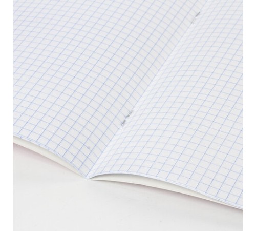 Тетрадь 18 л. BRAUBERG 