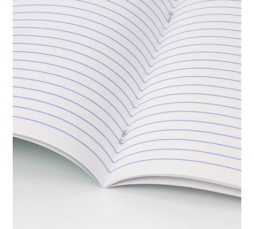 Тетрадь 18 л. BRAUBERG 