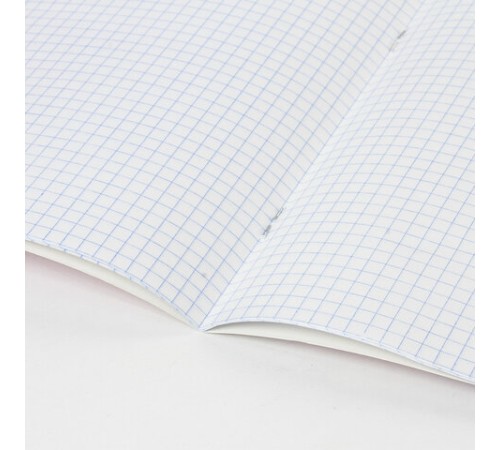 Тетрадь 12 л. BRAUBERG КЛАССИКА NEW клетка, обложка картон, СИНЯЯ, 105686