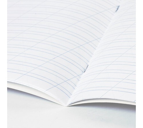 Тетрадь 12 л. BRAUBERG 