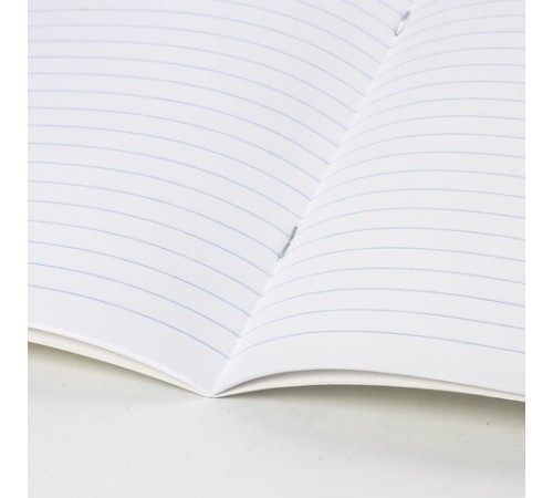 Тетрадь 12 л. BRAUBERG КЛАССИКА NEW линия, обложка картон, ЗЕЛЕНАЯ, 105691