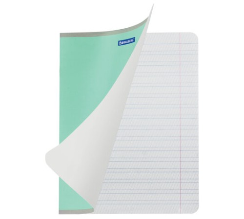 Тетрадь 12 л. BRAUBERG КЛАССИКА NEW частая косая линия, обложка картон, ЗЕЛЕНАЯ, 105694