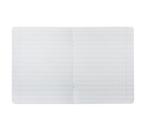 Тетрадь 12 л. BRAUBERG КЛАССИКА NEW частая косая линия, обложка картон, ЗЕЛЕНАЯ, 105694