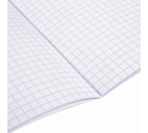 Тетрадь 18 л. BRAUBERG 