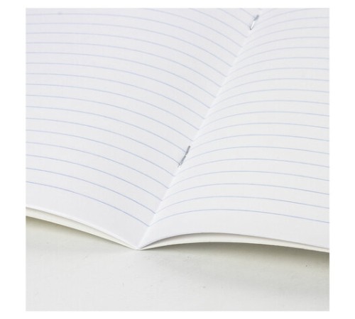 Тетрадь 18 л. BRAUBERG 