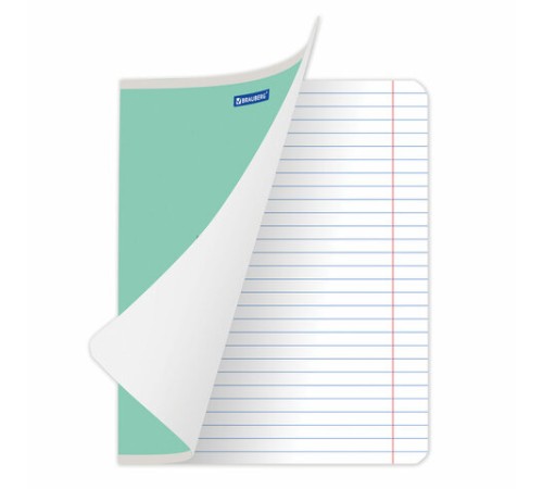 Тетрадь 24 л. BRAUBERG КЛАССИКА NEW линия, обложка картон, АССОРТИ (5 видов), 105704