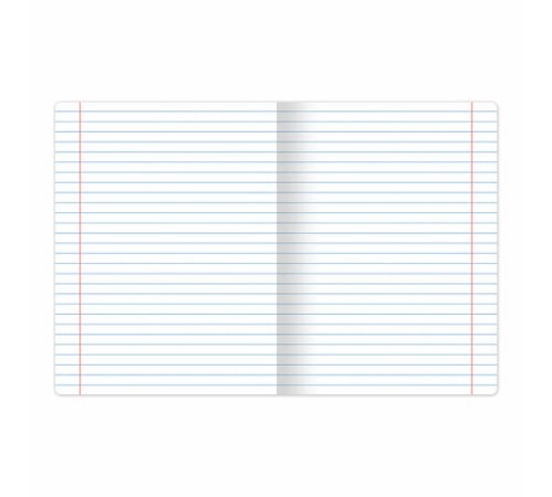 Тетрадь 24 л. BRAUBERG КЛАССИКА NEW линия, обложка картон, АССОРТИ (5 видов), 105704