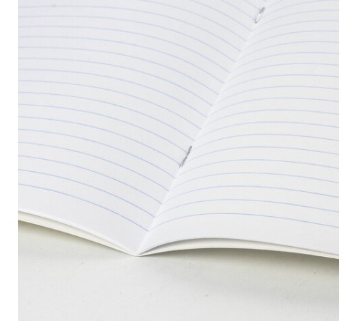 Тетрадь BRAUBERG 