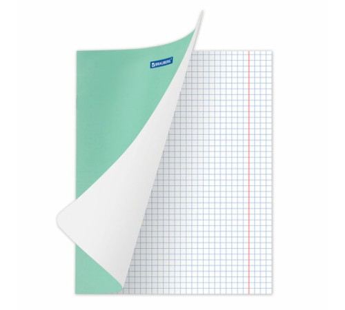 Тетрадь BRAUBERG 