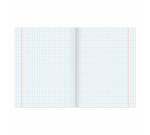 Тетрадь BRAUBERG 