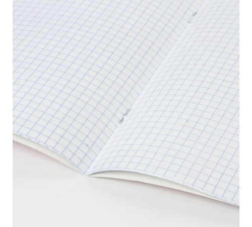 Тетрадь BRAUBERG 